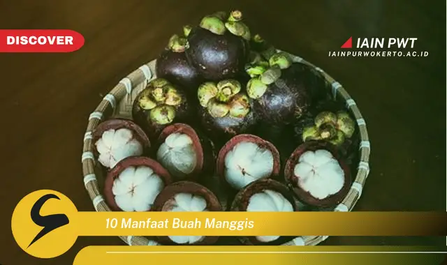 10 manfaat buah manggis