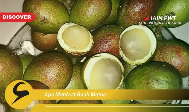 apa manfaat buah matoa