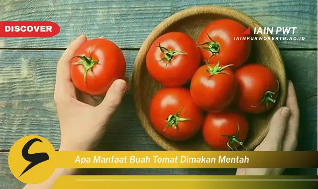 apa manfaat buah tomat dimakan mentah