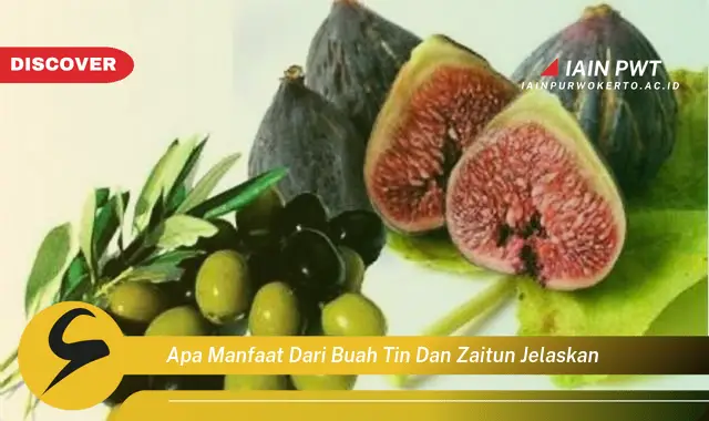 apa manfaat dari buah tin dan zaitun jelaskan