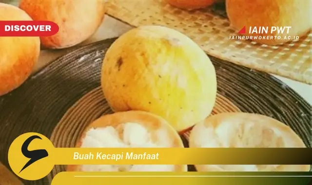 buah kecapi manfaat