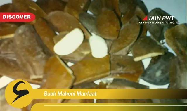 buah mahoni manfaat