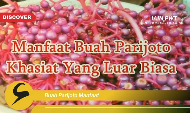 buah parijoto manfaat