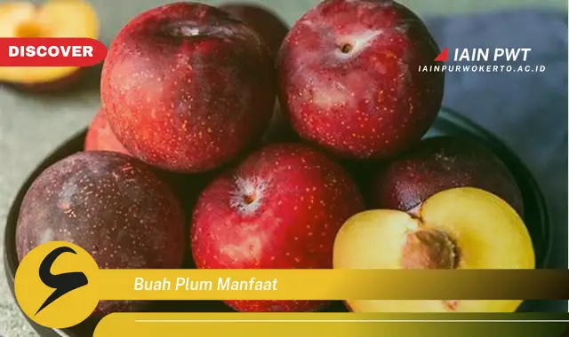 buah plum manfaat