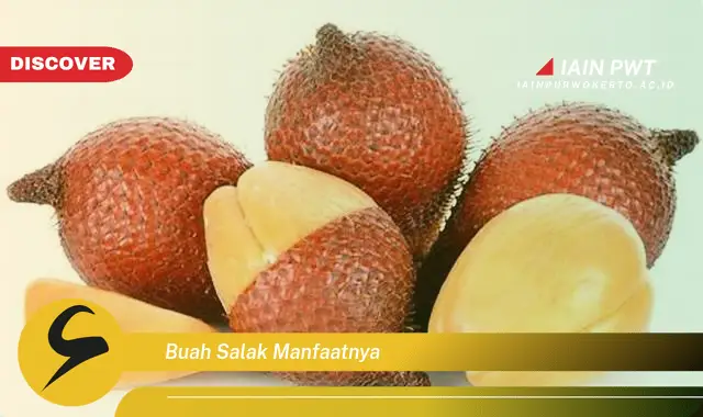 buah salak manfaatnya