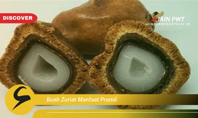 buah zuriat manfaat promil