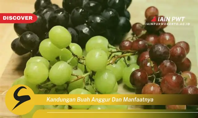 kandungan buah anggur dan manfaatnya