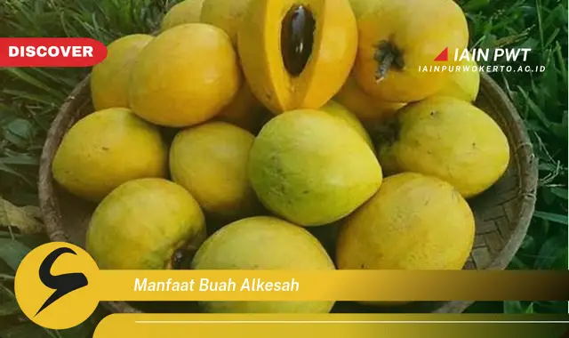 manfaat buah alkesah