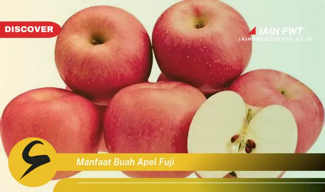 manfaat buah apel fuji