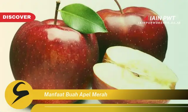 manfaat buah apel merah