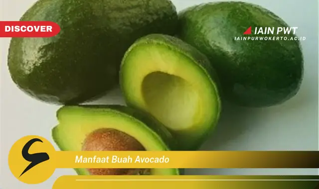 manfaat buah avocado