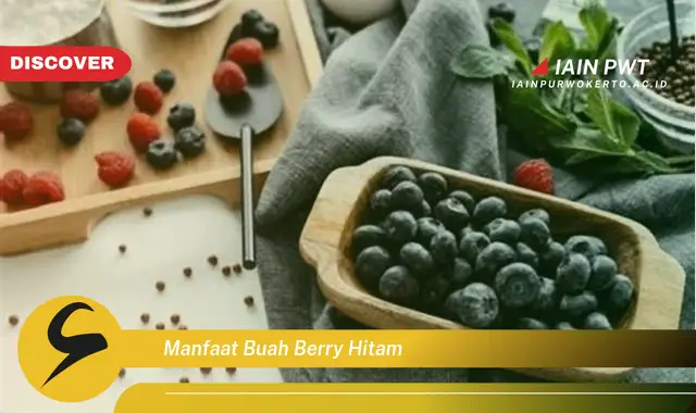 manfaat buah berry hitam