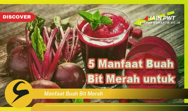 manfaat buah bit merah