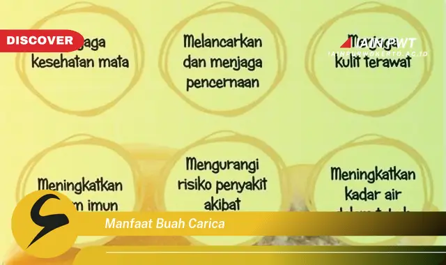 manfaat buah carica