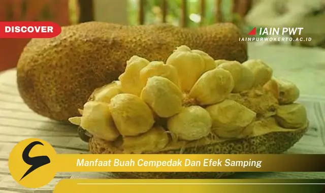 manfaat buah cempedak dan efek samping