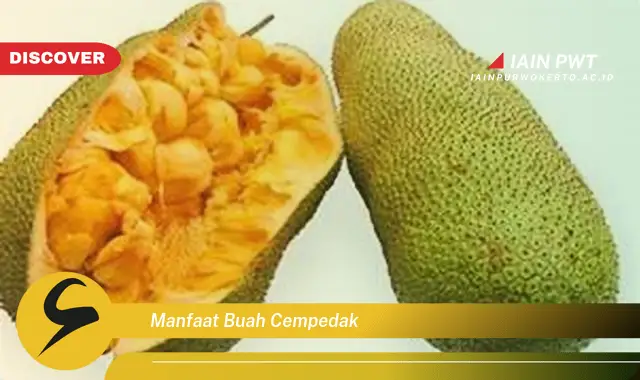 manfaat buah cempedak