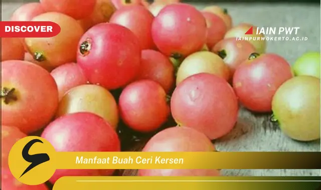 manfaat buah ceri kersen