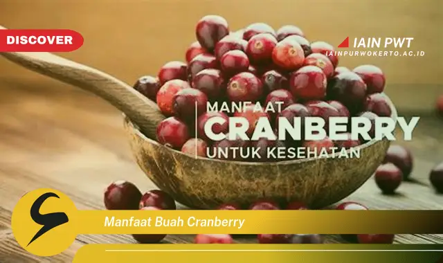 manfaat buah cranberry