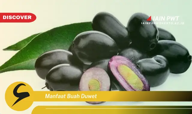 manfaat buah duwet