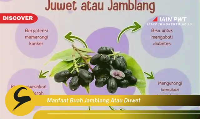 manfaat buah jamblang atau duwet