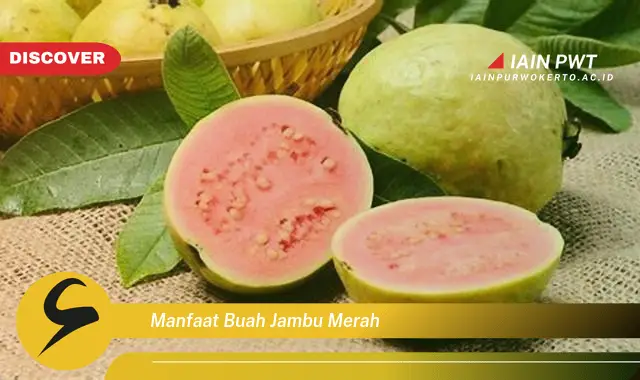 manfaat buah jambu merah