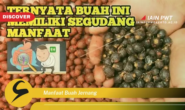 manfaat buah jernang