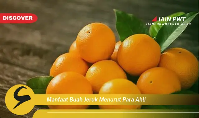 manfaat buah jeruk menurut para ahli