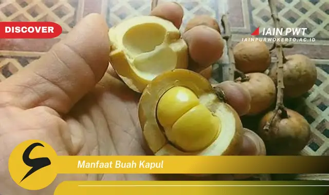 manfaat buah kapul