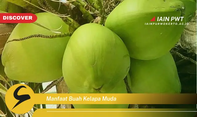 manfaat buah kelapa muda