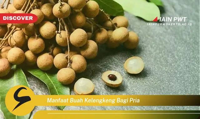 manfaat buah kelengkeng bagi pria