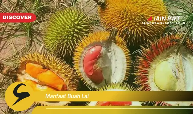 manfaat buah lai