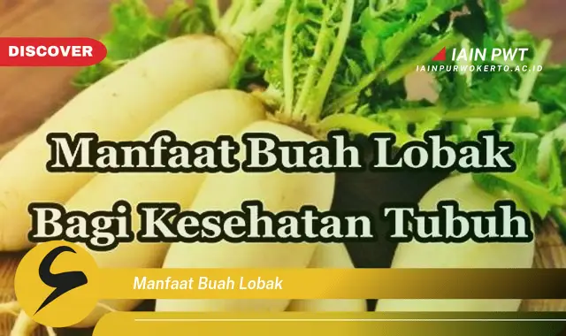 manfaat buah lobak