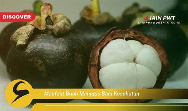 manfaat buah manggis bagi kesehatan