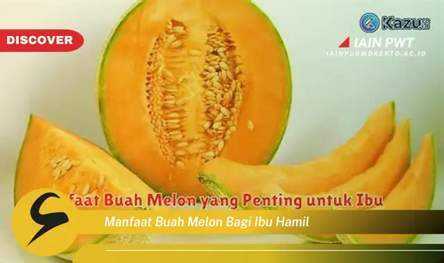 manfaat buah melon bagi ibu hamil