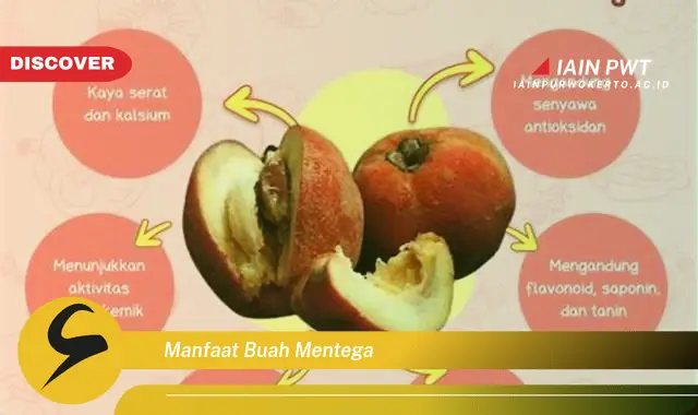 manfaat buah mentega