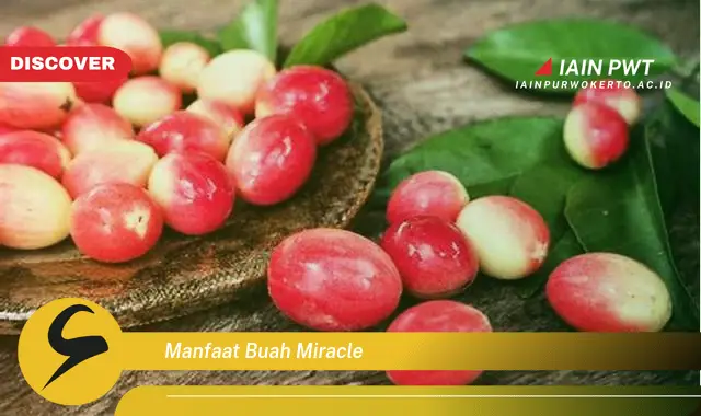 manfaat buah miracle