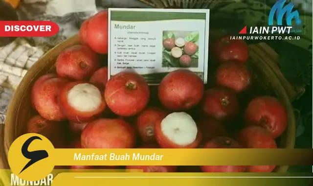 manfaat buah mundar