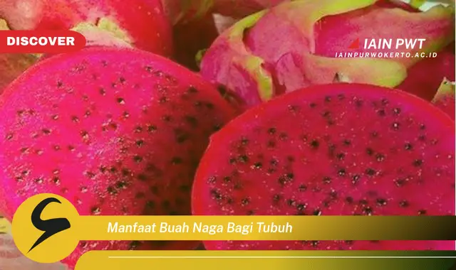 manfaat buah naga bagi tubuh