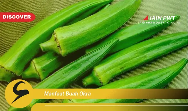 manfaat buah okra