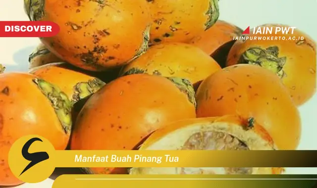 manfaat buah pinang tua