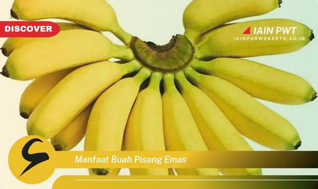 manfaat buah pisang emas