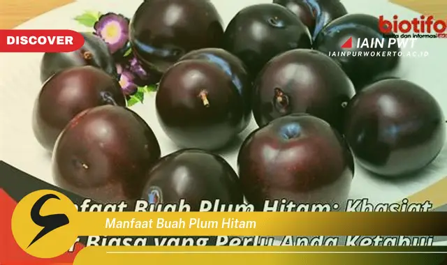 manfaat buah plum hitam