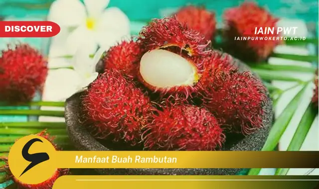 manfaat buah rambutan