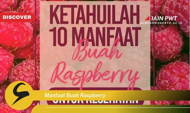 manfaat buah raspberry