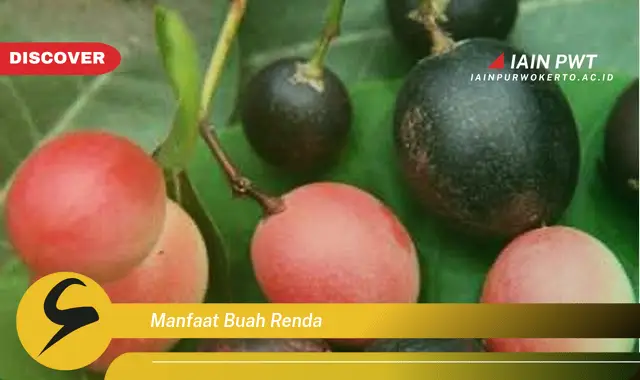 manfaat buah renda