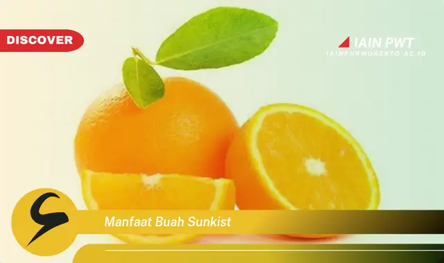 manfaat buah sunkist