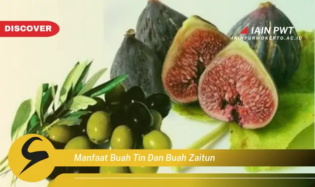 manfaat buah tin dan buah zaitun