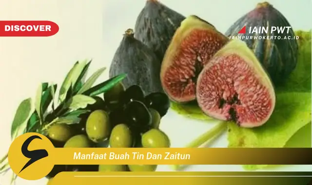 manfaat buah tin dan zaitun