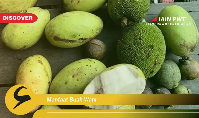 manfaat buah wani