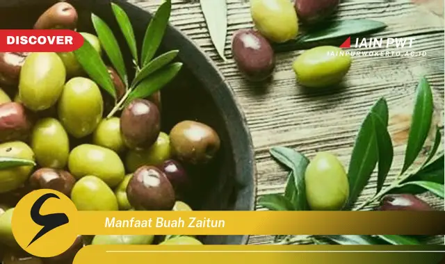 manfaat buah zaitun